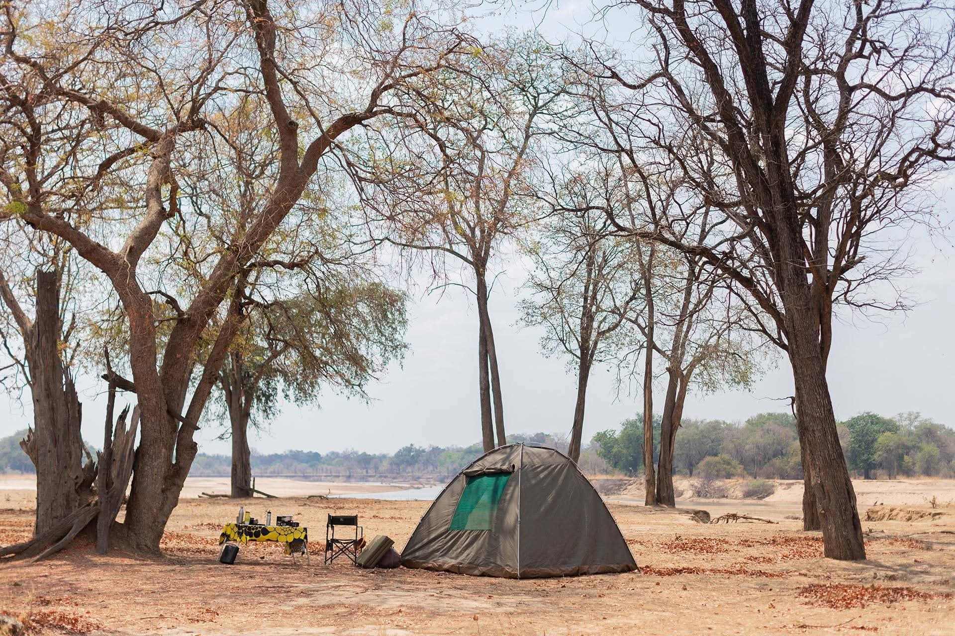 Canvas tent pitched beside riverine trees