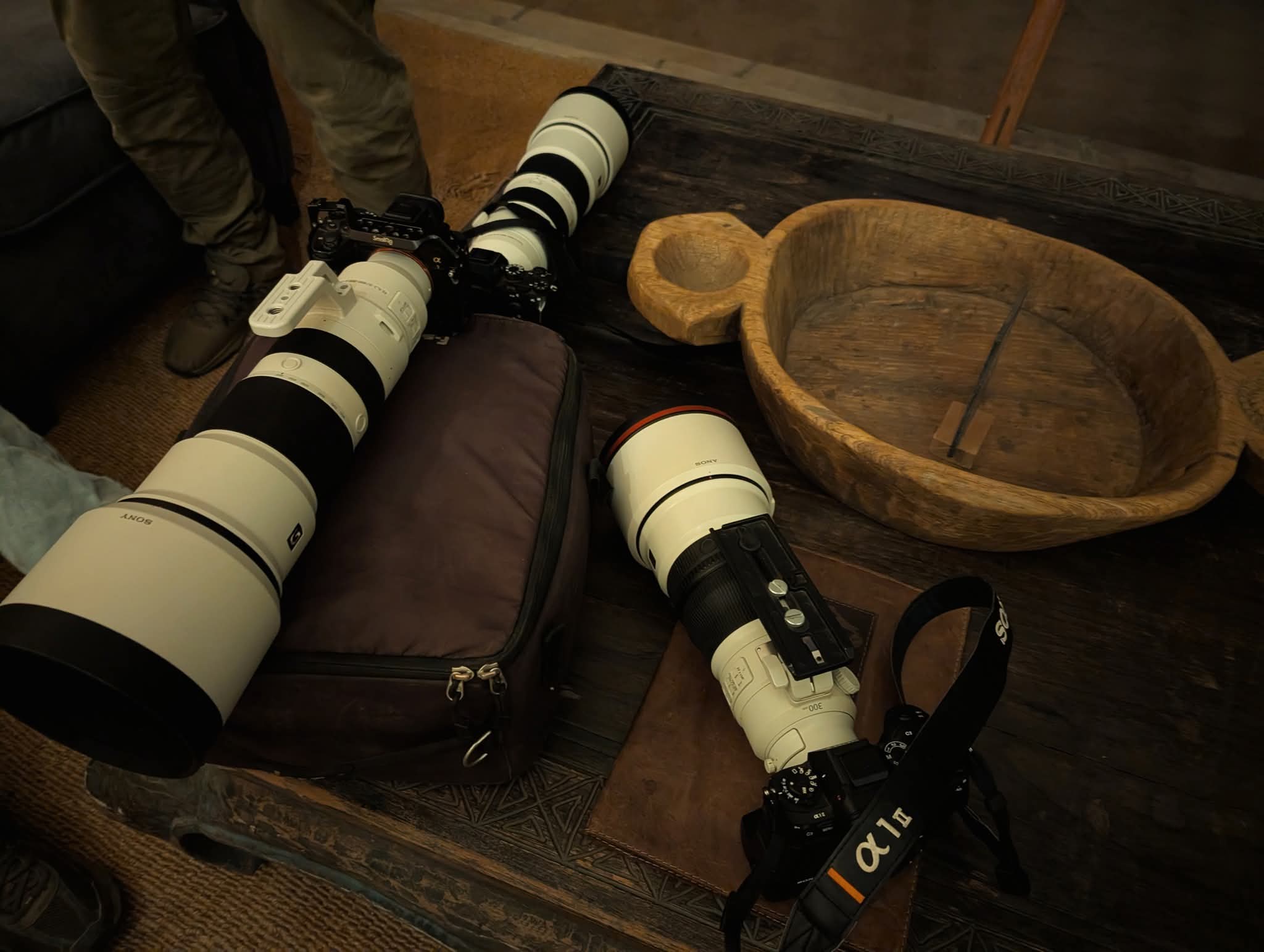 Camera lenses and safari photography equipment