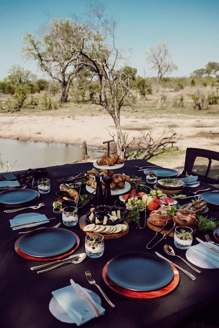 Safari meal table prepared under trees